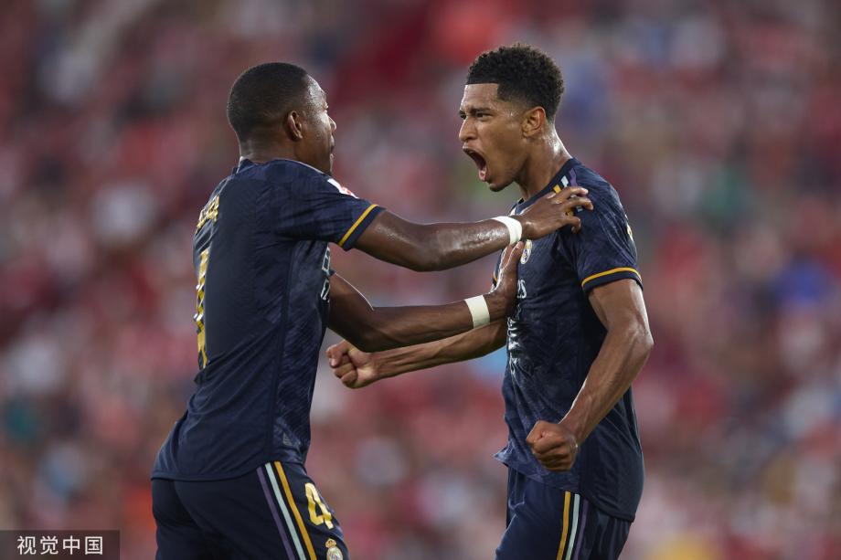 举动的广泛 举动的广泛