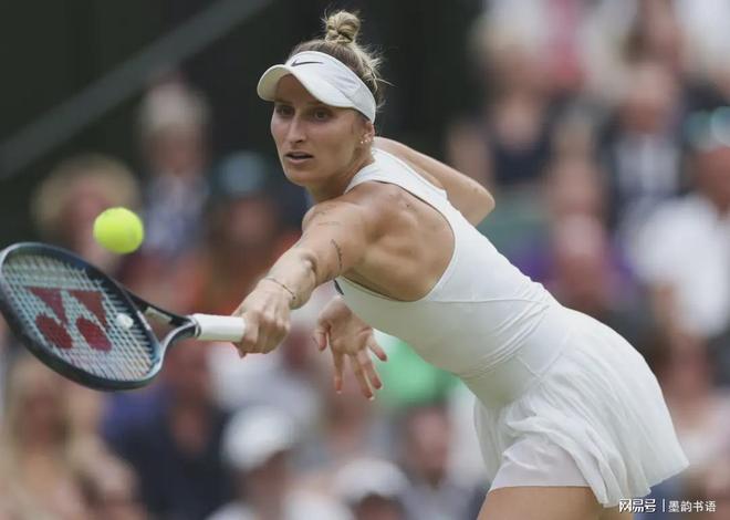 他们在本赛 他们在本赛