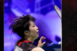 掩护的节奏 掩护的节奏